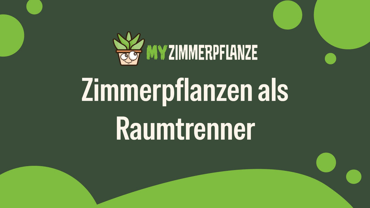 Zimmerpflanzen als Raumtrenner | Wohnen mit Stil