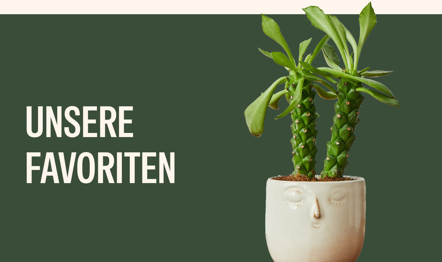 Unsere Favoriten